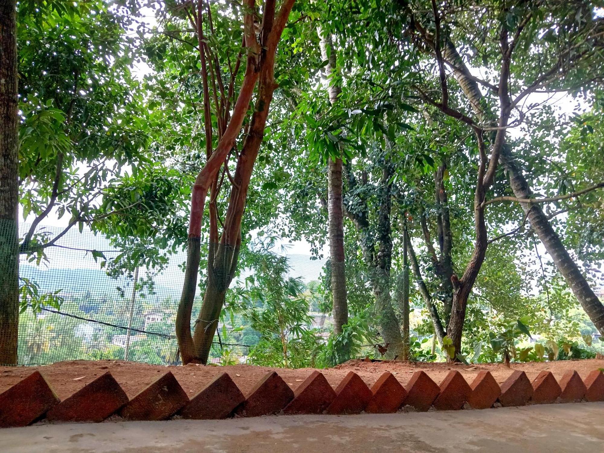 Fly Infinity - Home Stay Канди Экстерьер фото